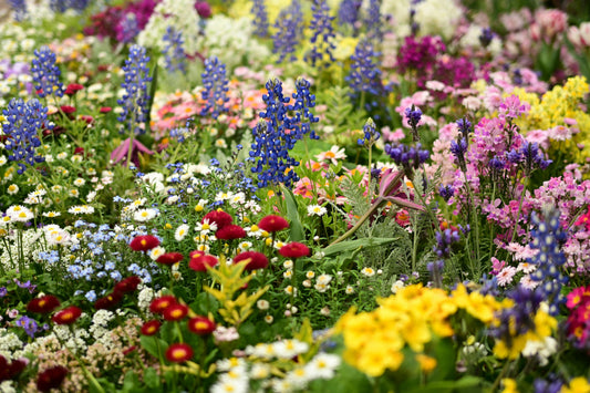 A Little Garden Called Fleur 🌸