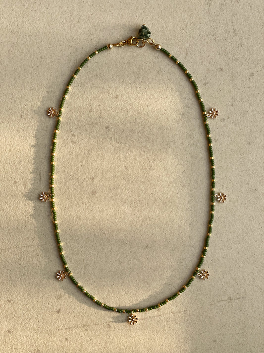 Olive Dahlia