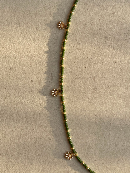 Olive Dahlia